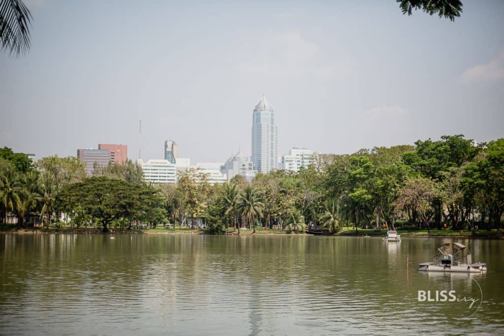 Bangkok Sights - Lumpini Park in Thailand - Lumphini Park with lake for recreation and sports or fitness - Travel tip and Bangkok sights Lumpini Park in Thailand. Recreation by the lake, sports, fitness, Tai Chi courses, aerobics. Lizards, monitor lizards